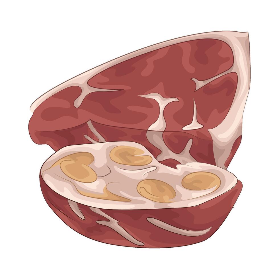Illustration of meat vector