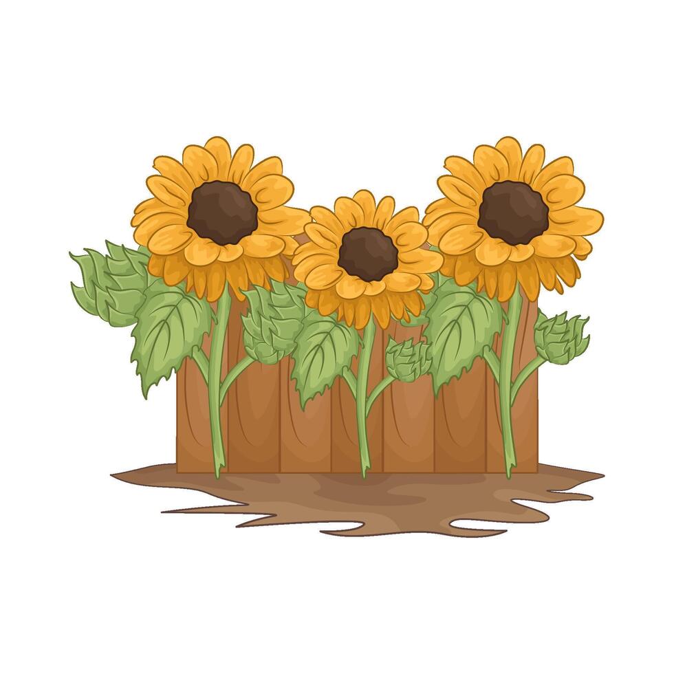 Illustration of sunflower vector