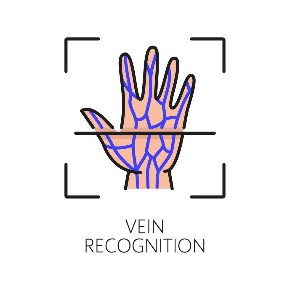 Vein recognition biometric identification icon vector