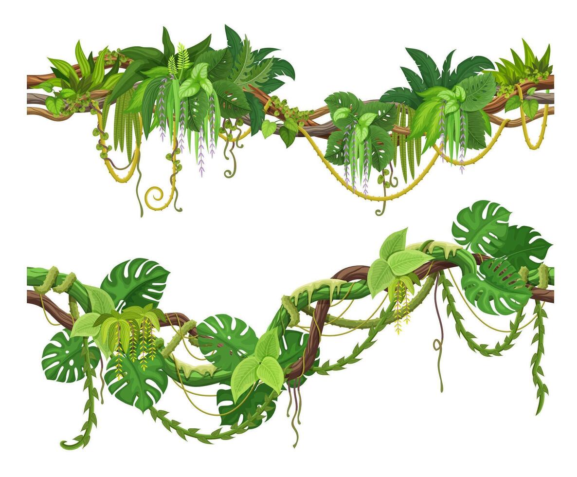Tropical jungle forest liana vine branch, thicket vector