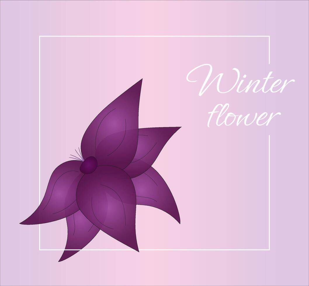 Winter Flower. White Frame decorated with Violet Purple mystical Flower on elegant art background. Illustration. For pattern, posters, invitation, greeting cards vector