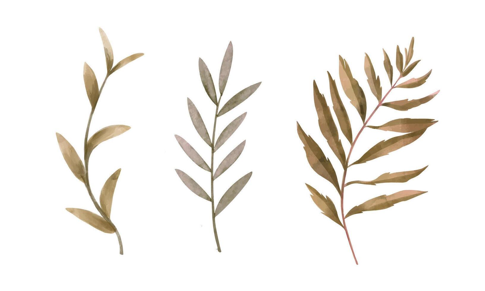Flowers painted with watercolors set on white vector