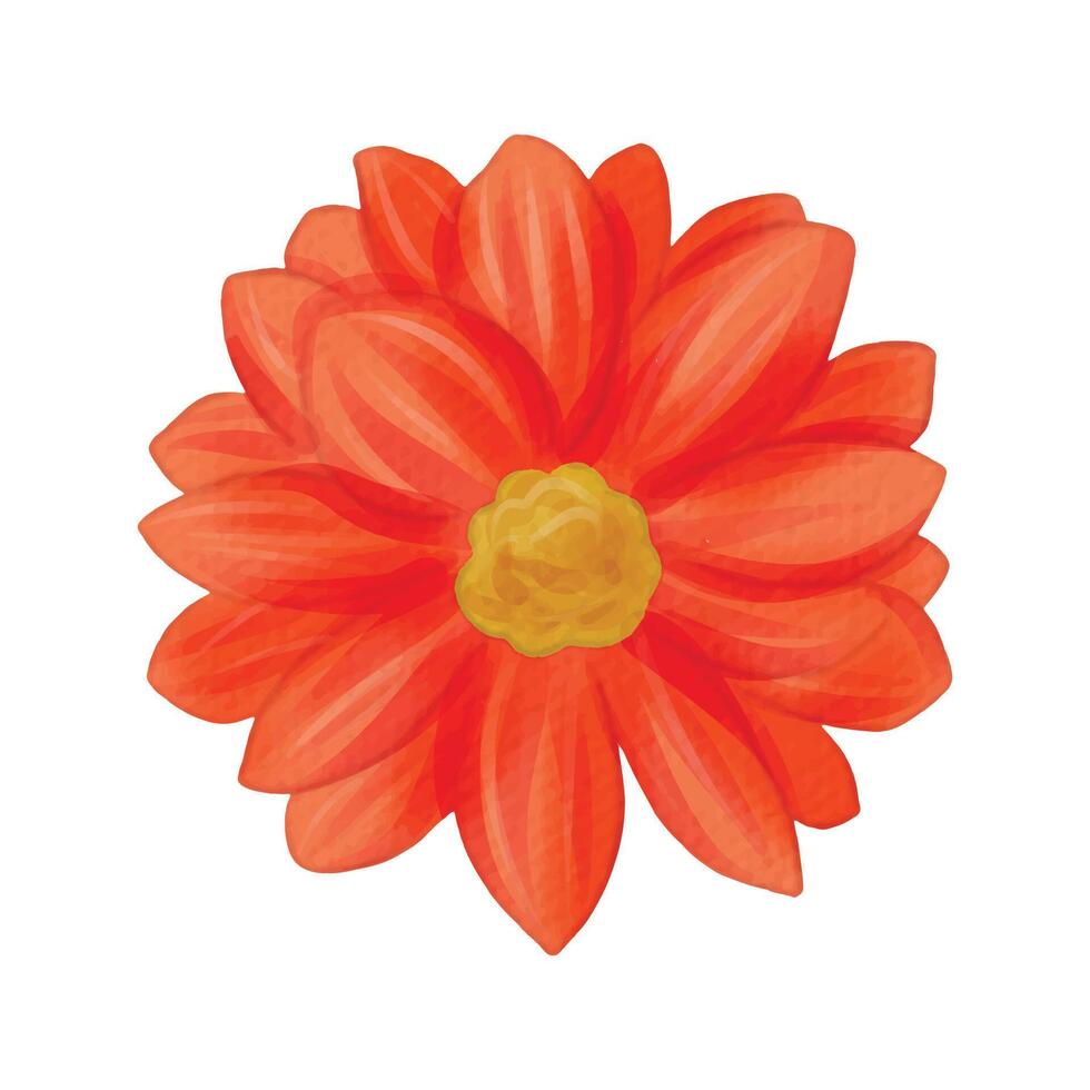 flowers painted with watercolors on white vector