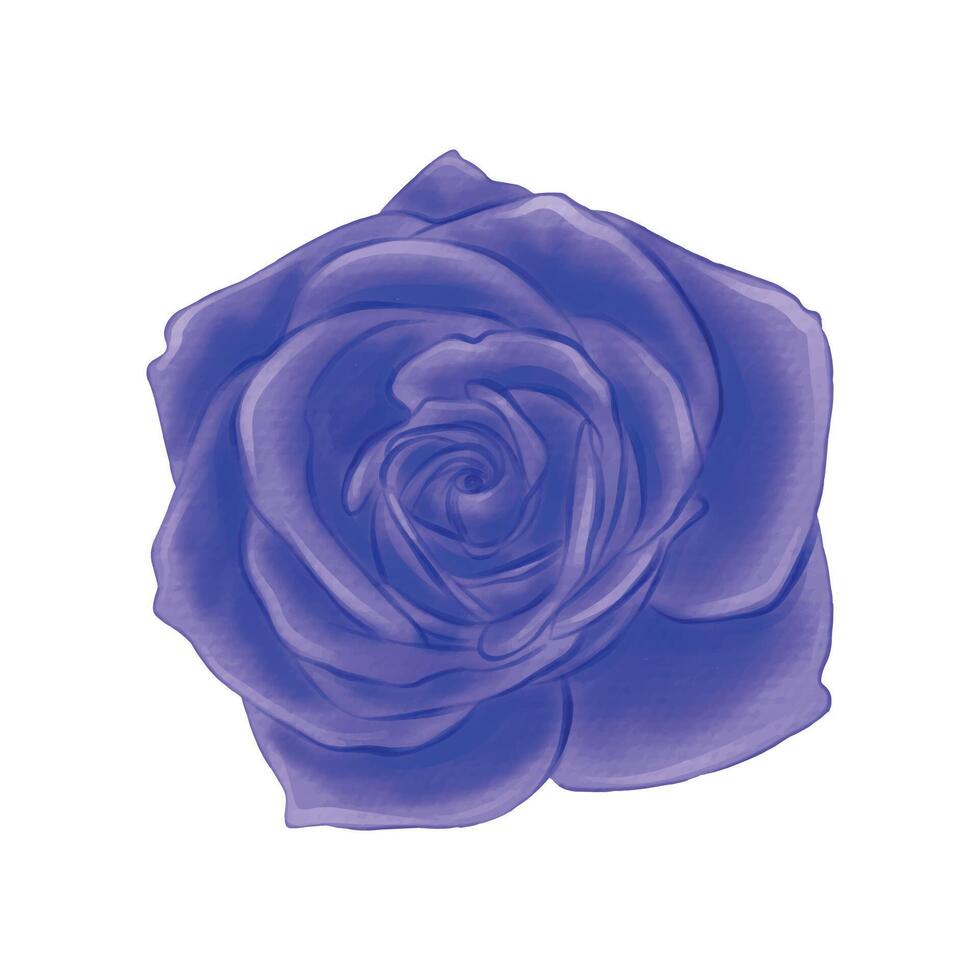 flowers painted with watercolors on white vector