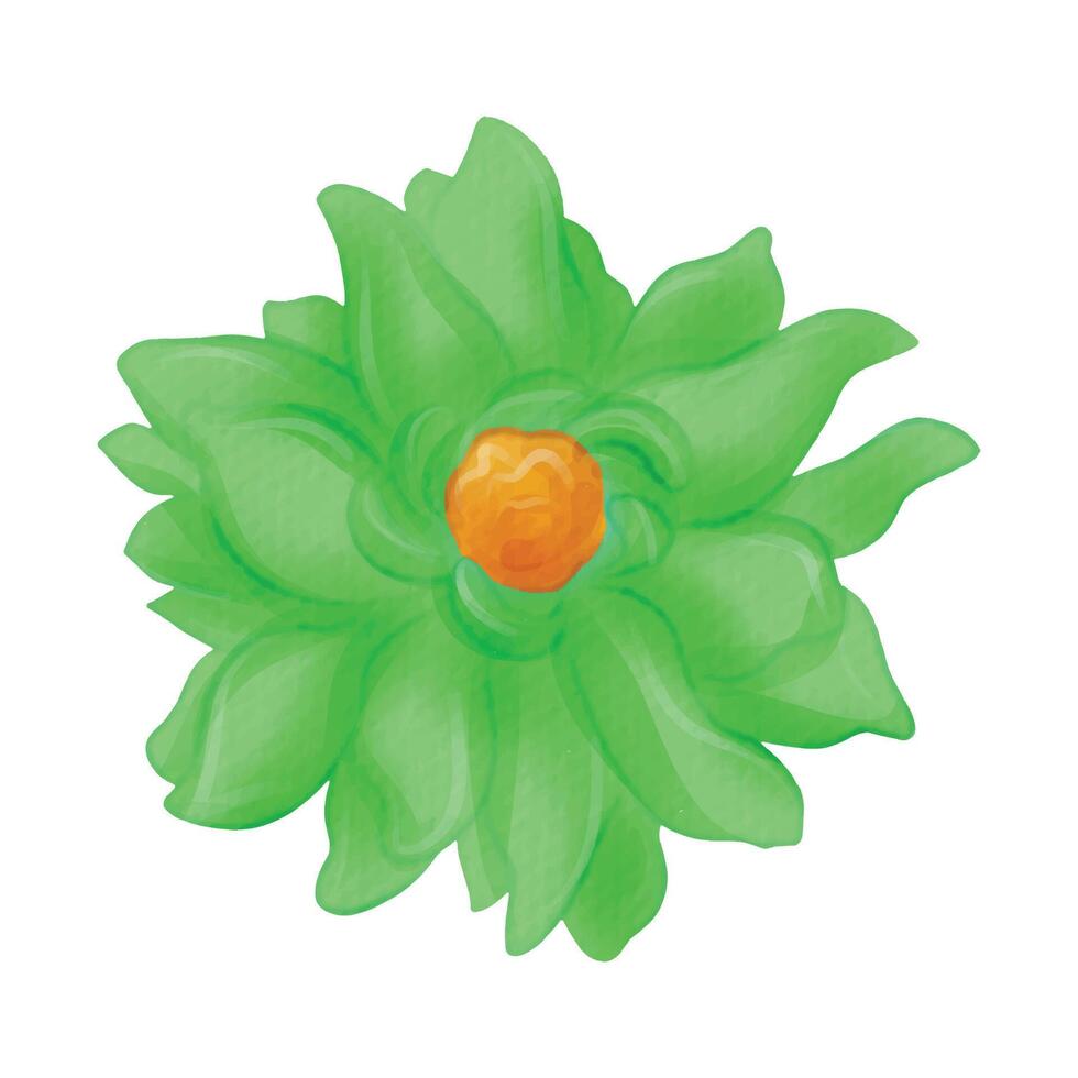 flowers painted with watercolors on white vector