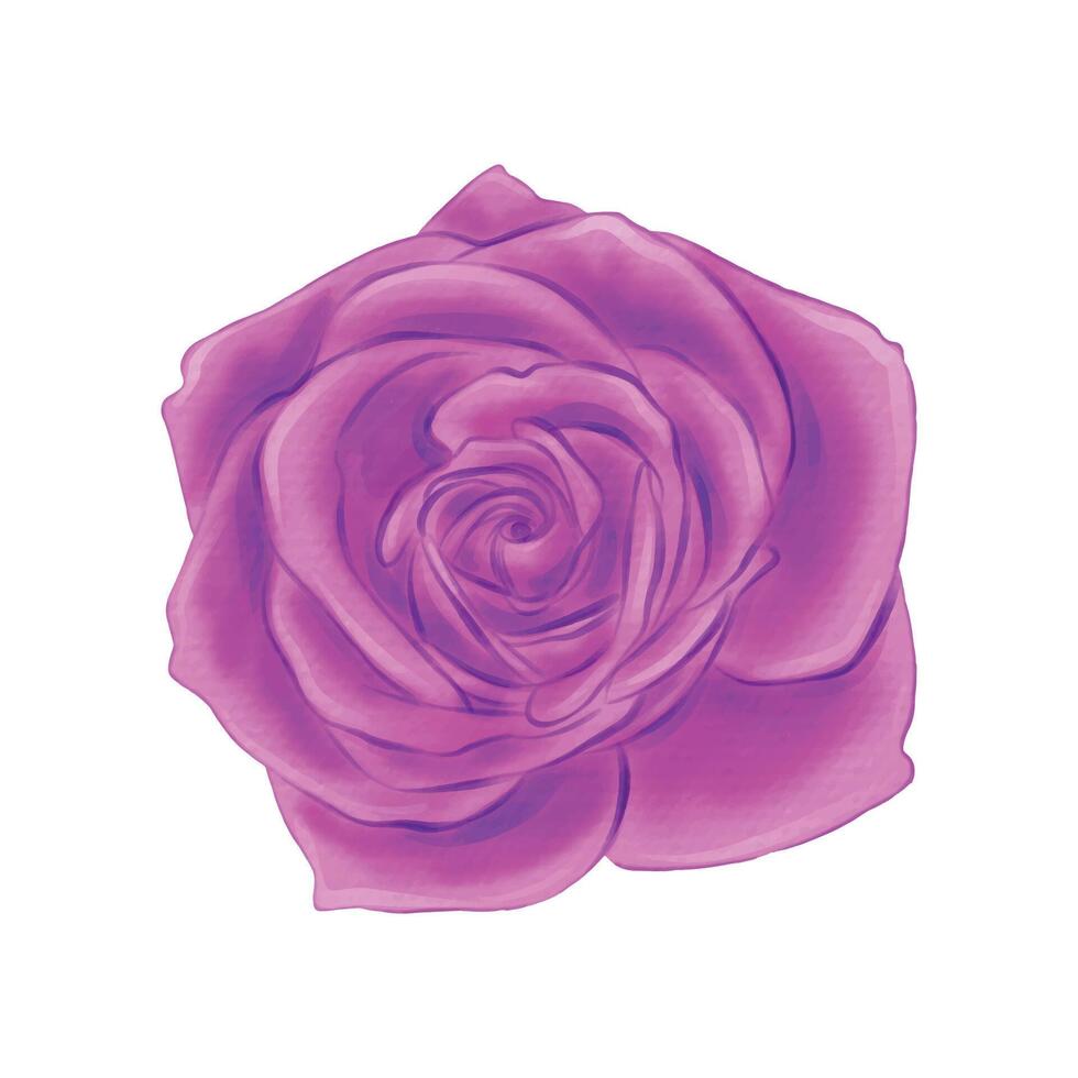 flowers painted with watercolors on white vector