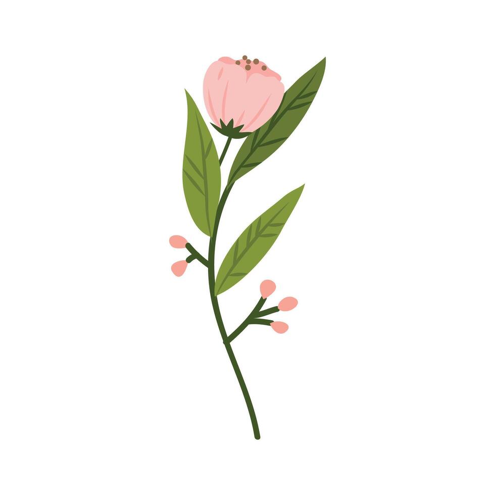 Spring blooming flowers isolated on white background vector