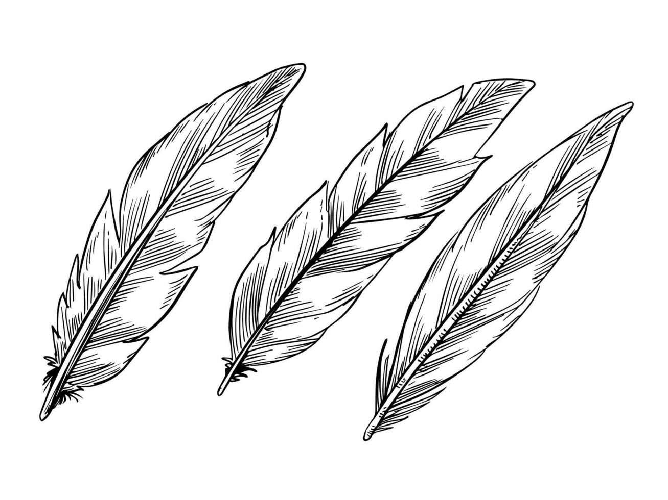 Sketch style line art decorative feather design set vector