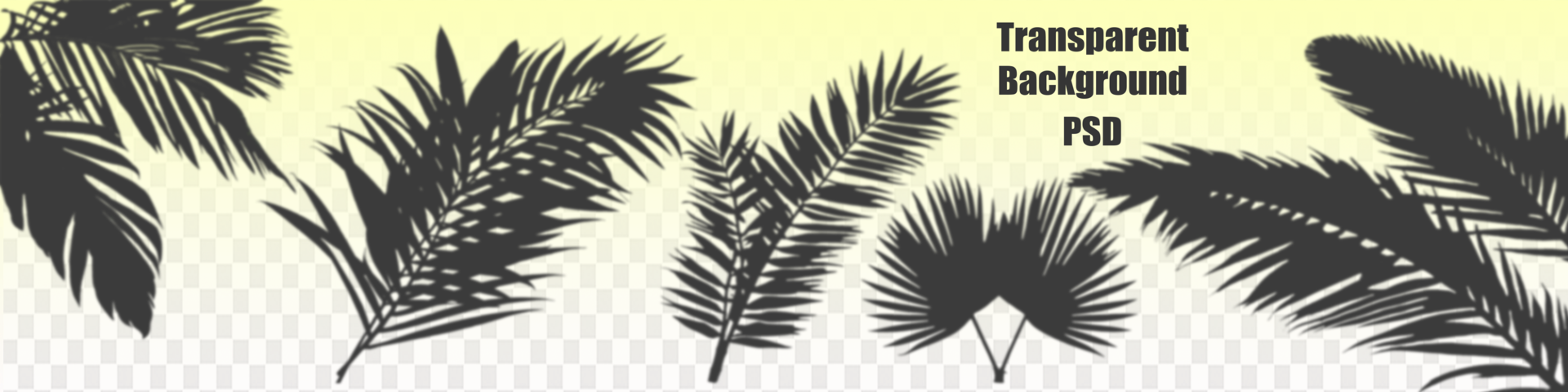 Shadow from palm leaves on a white wall background. White background, cardboard. Abstract image. Tropic concept psd