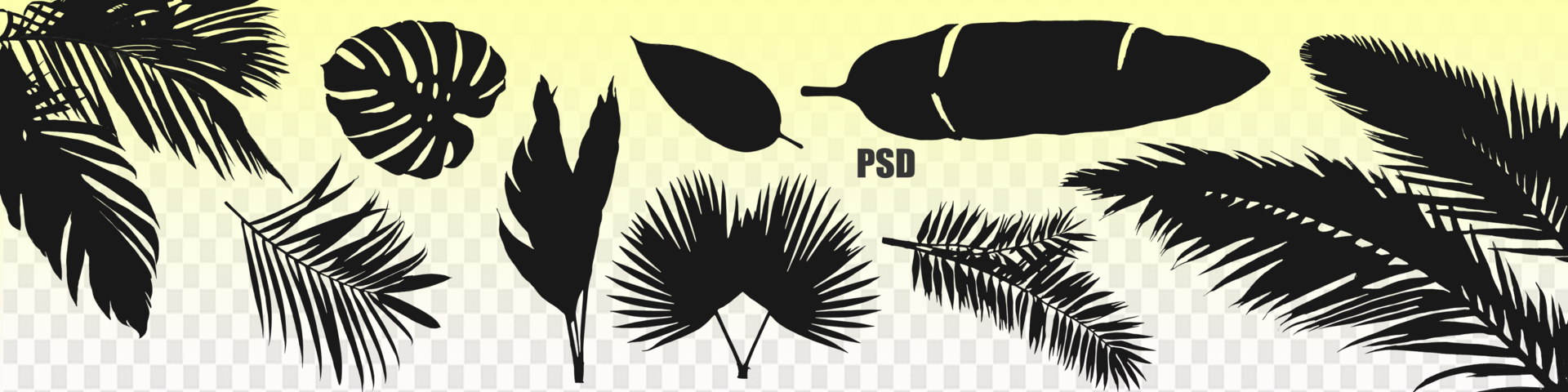 Beautiful silhouette of different tropical leaves, palm tree, banana, monstera without background. psd