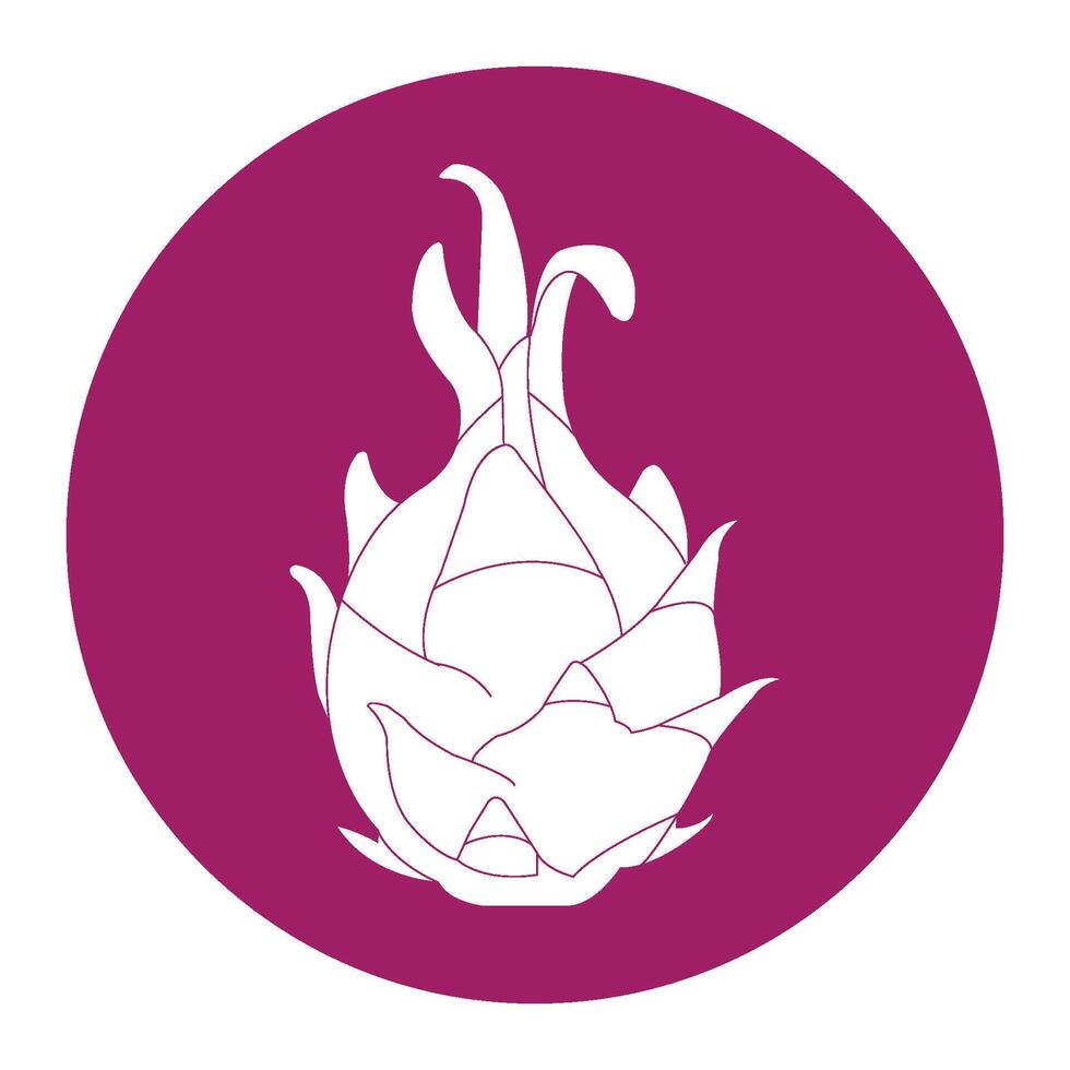 Dragon fruit icon vector