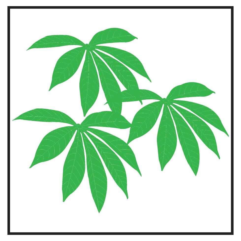 Cassava leaf icon vector