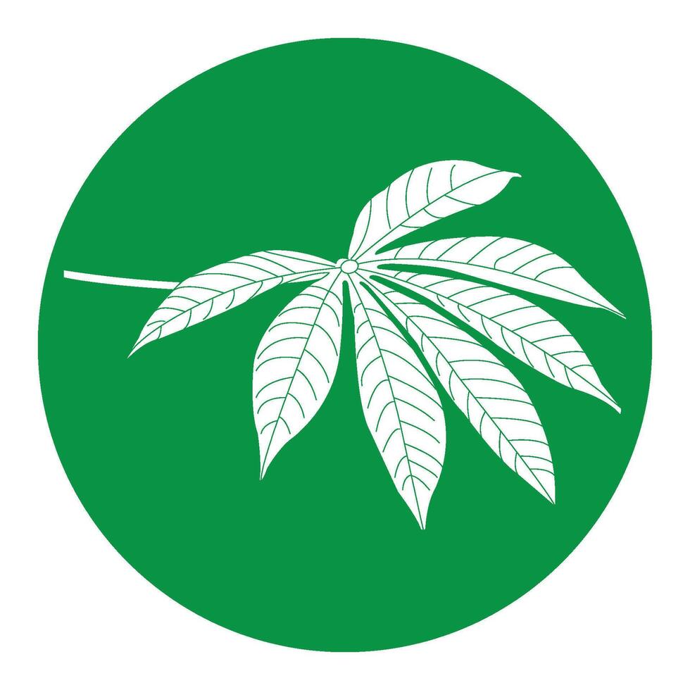 Cassava leaf icon vector