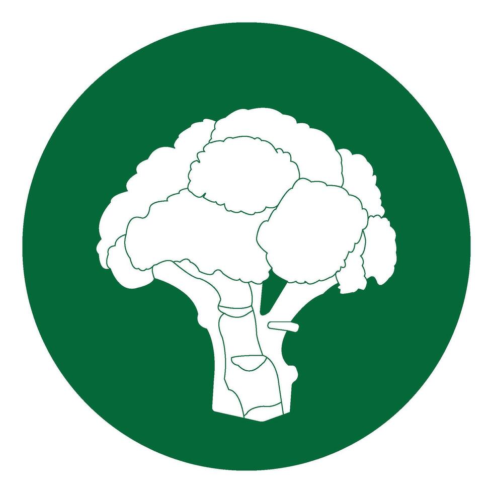 Broccoli icon design vector