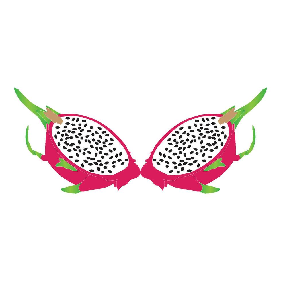 Dragon fruit icon vector