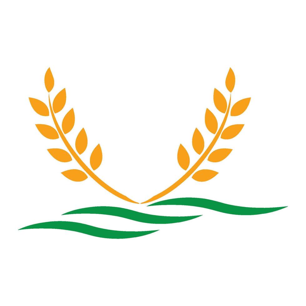 Agriculture wheat Logo vector