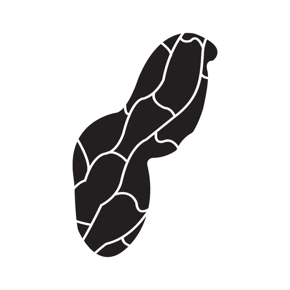 Peanut icon design vector