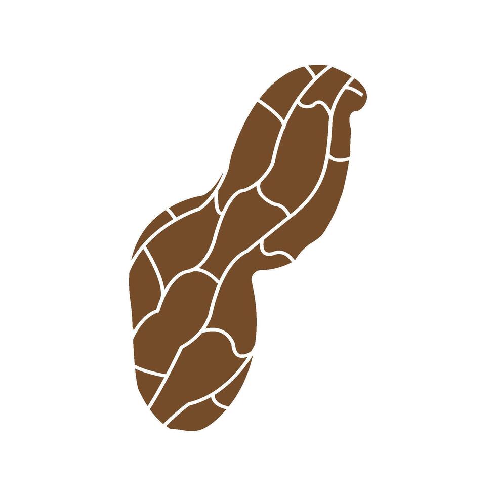 Peanut icon design vector