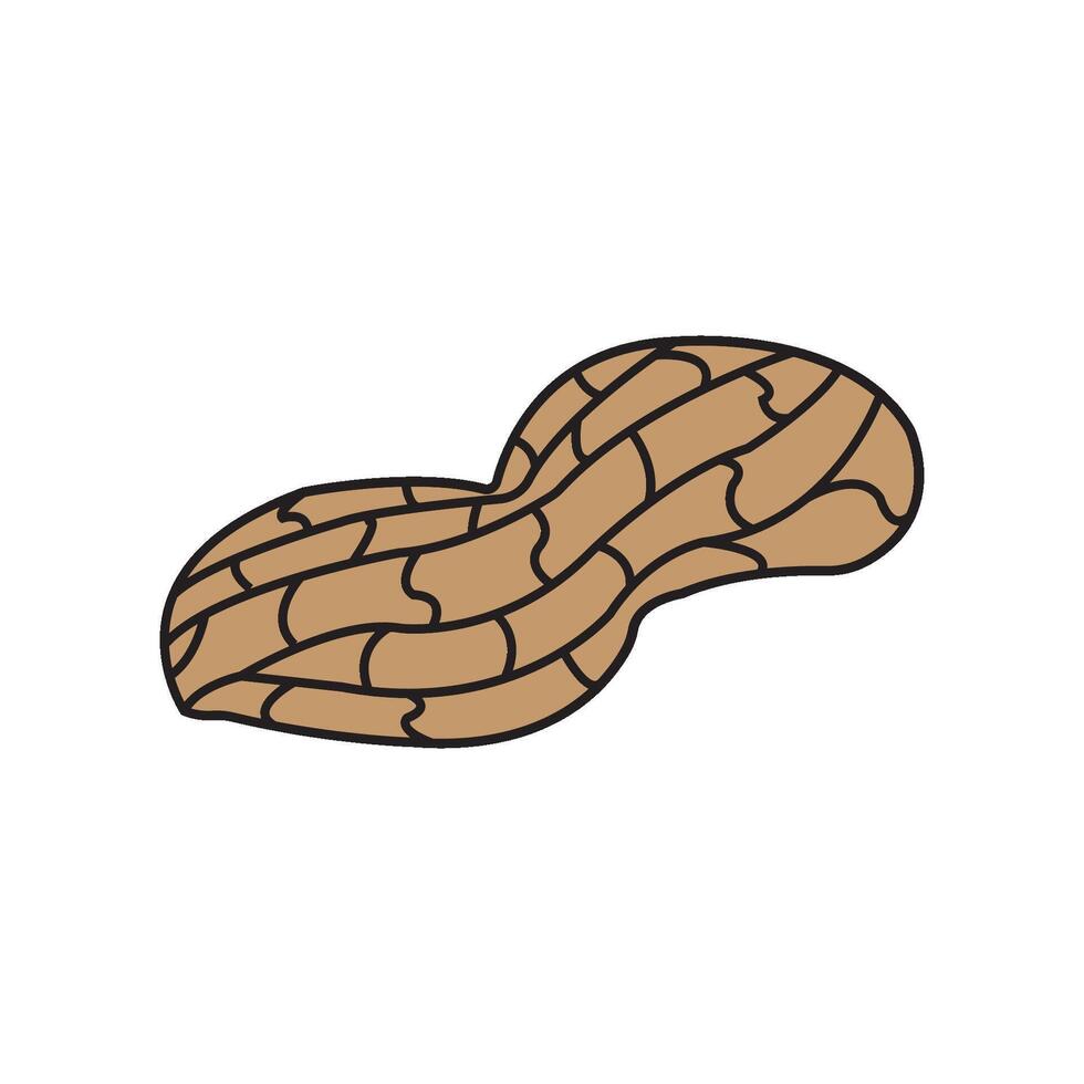 Peanut icon design vector