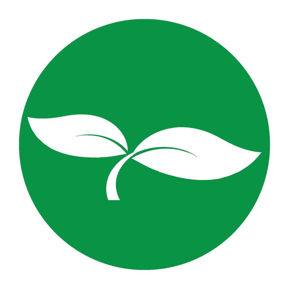 Leaf icon design vector