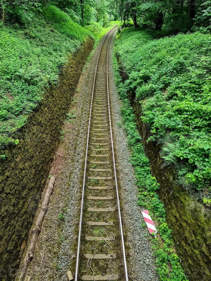 A track bed for trains in a forest with walls on both sides. photo