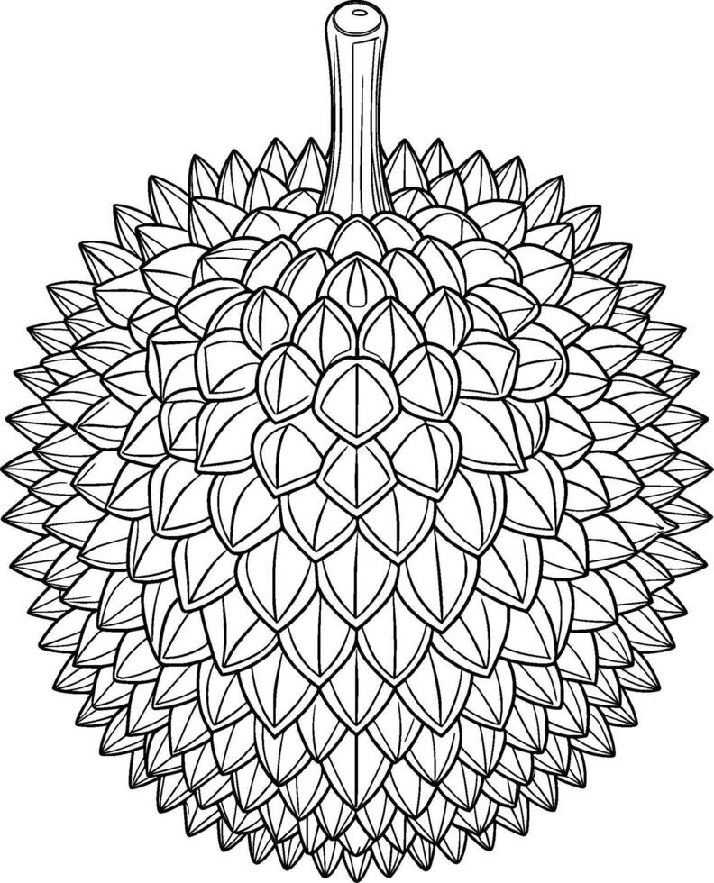 Colouring Page for Kids - Durian - Black and White Line Art vector