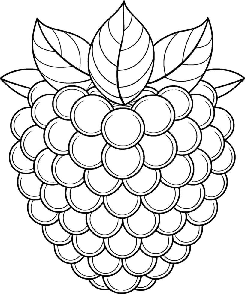 Colouring Page for Kids - Blackberry - Black and White Line Art vector