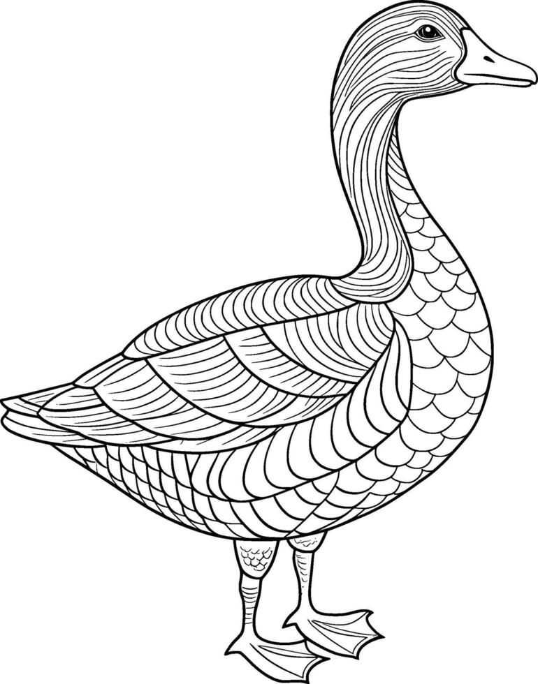 Coloring Page for Kids - Goose - Black and White Line Art vector