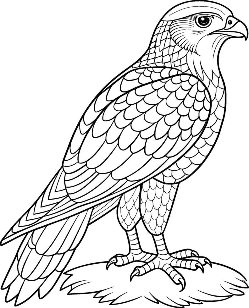 Coloring Page for Kids - Hawk - Black and White Line Art vector