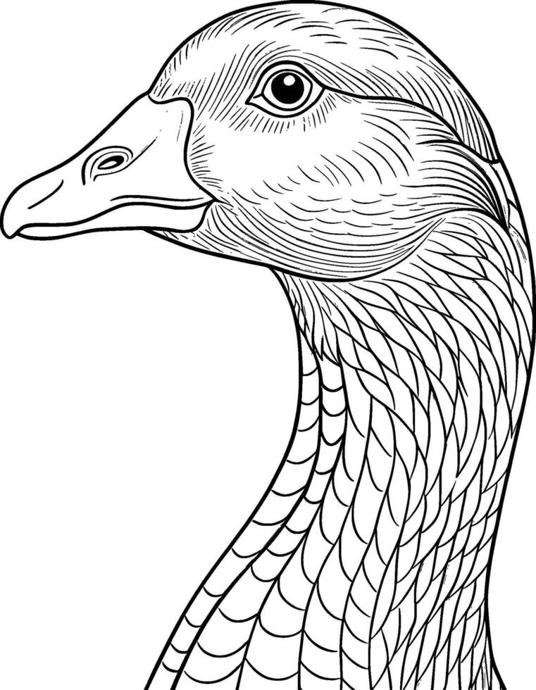Coloring Page for Kids - Goose Portrait - Black and White Line Art vector