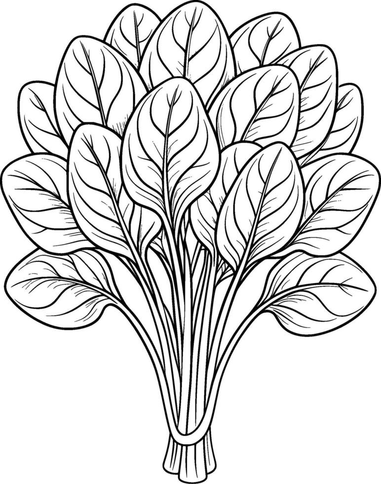 Coloring Page for Kids - Spinach - Black and White Line Art vector