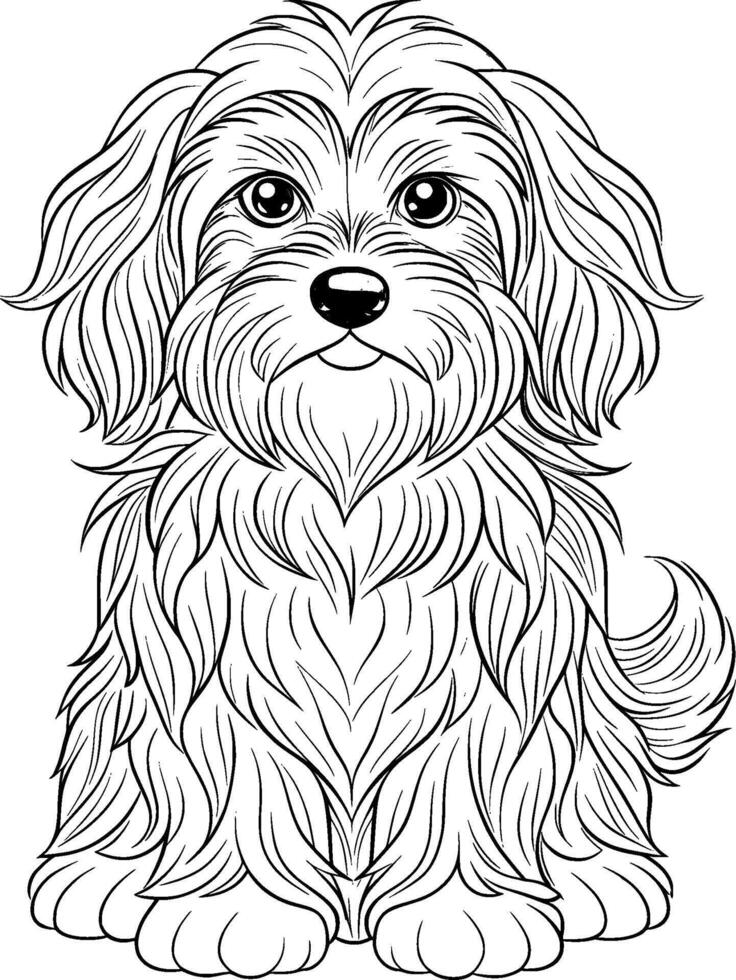 Coloring Page for Kids - Havanese - Black and White Line Art vector