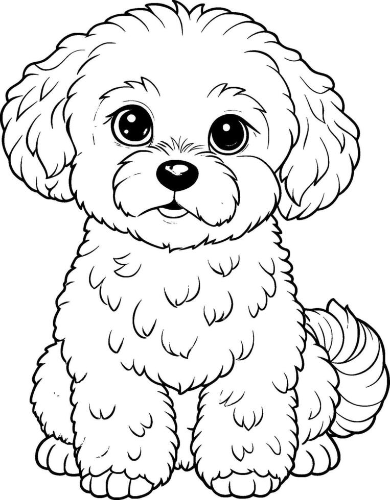 Colouring Page for Kids - Bichon Frise - Black and White Line Art vector