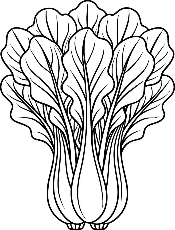 Colouring Page for Kids - Bok Choy - Black and White Line Art vector