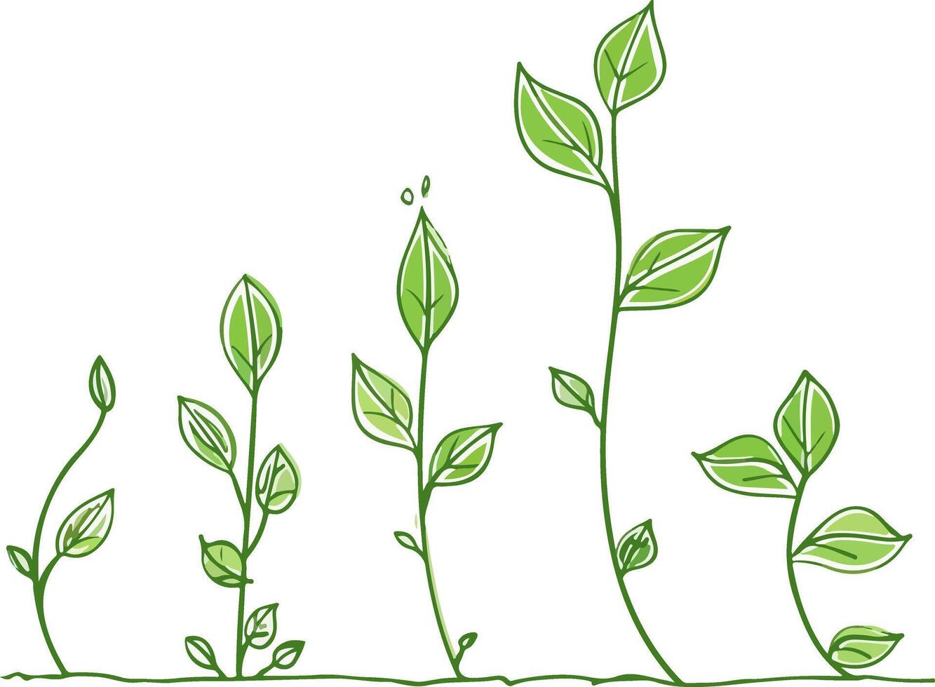 a simple line drawing of plant growing small to big vector