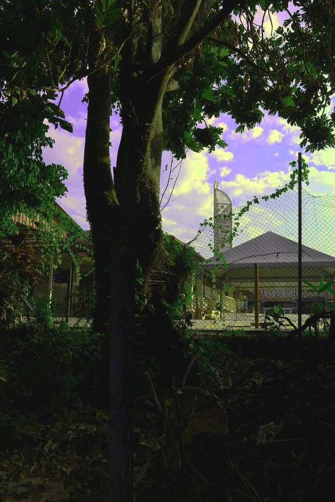 At Taman Selasih's roadside park, a magnificent tapestry of nature unfolds, a serene oasis of lush grass and towering trees, presenting captivating panoramas that mesmerize the soul at daybreak. photo