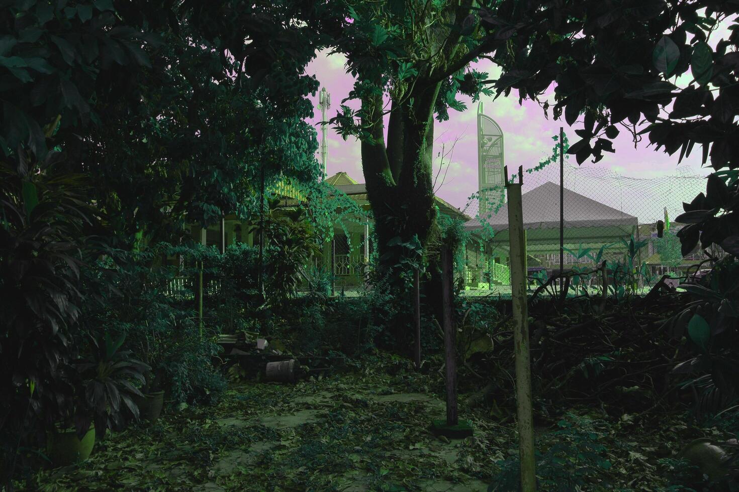 At Taman Selasih's roadside park, a magnificent tapestry of nature unfolds, a serene oasis of lush grass and towering trees, presenting captivating panoramas that mesmerize the soul at daybreak. photo