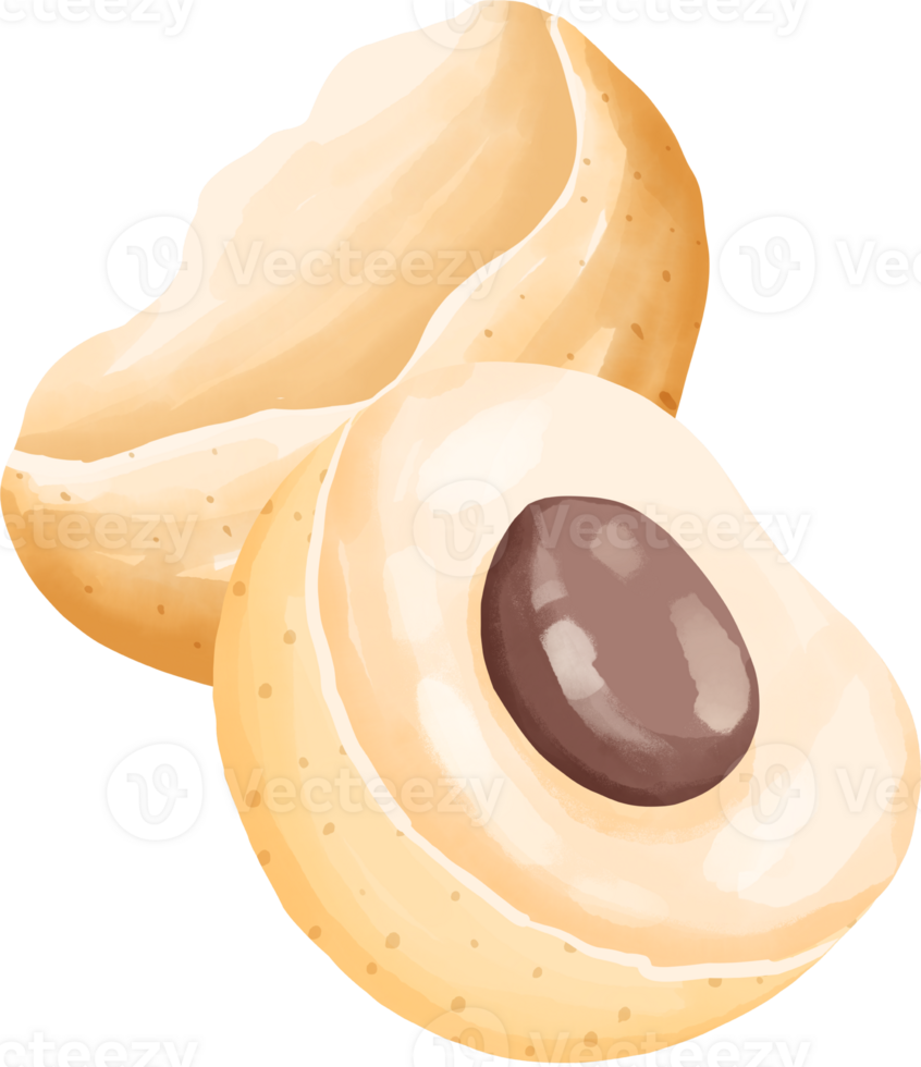 Longan fruit elements png