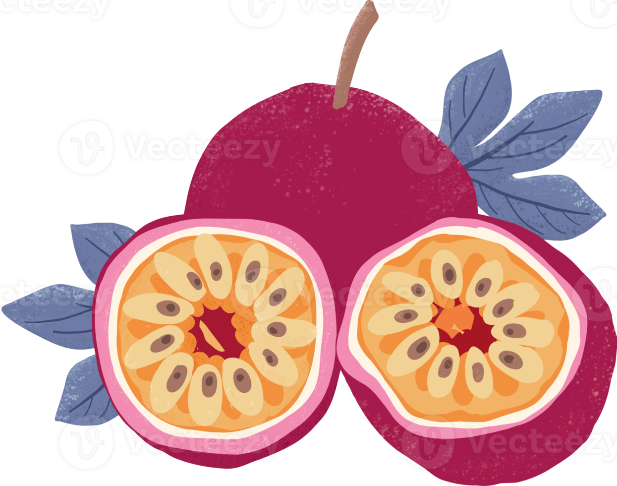 Passion fruit elements png