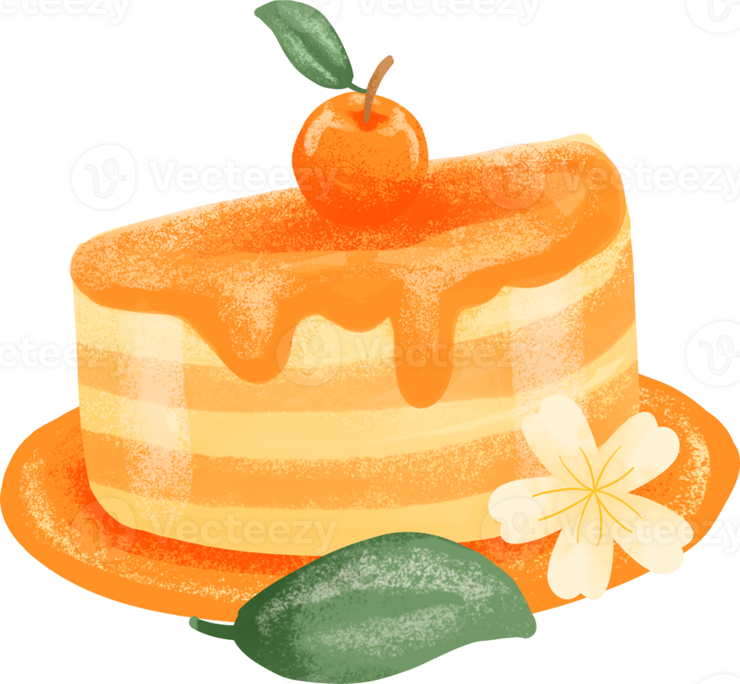 collection of orange fruit watercolor elements png