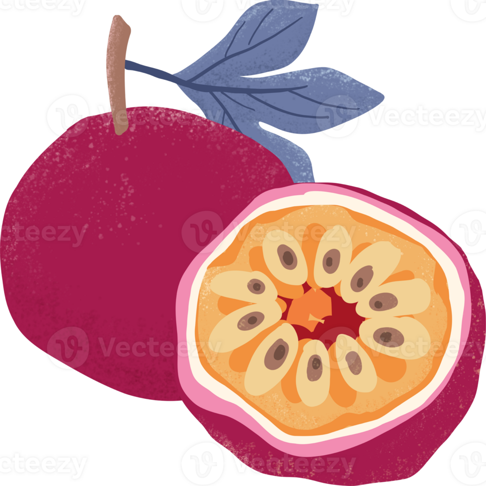 Passion fruit elements png