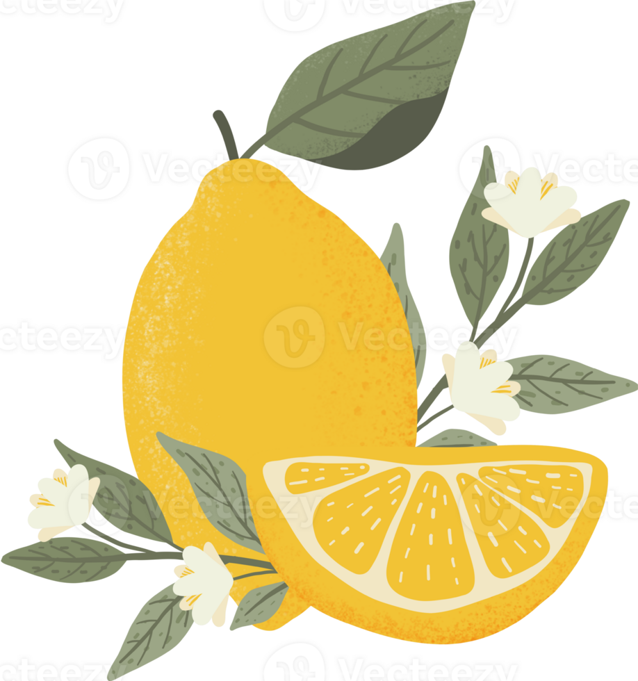 yellow lemon with green leaf elements png