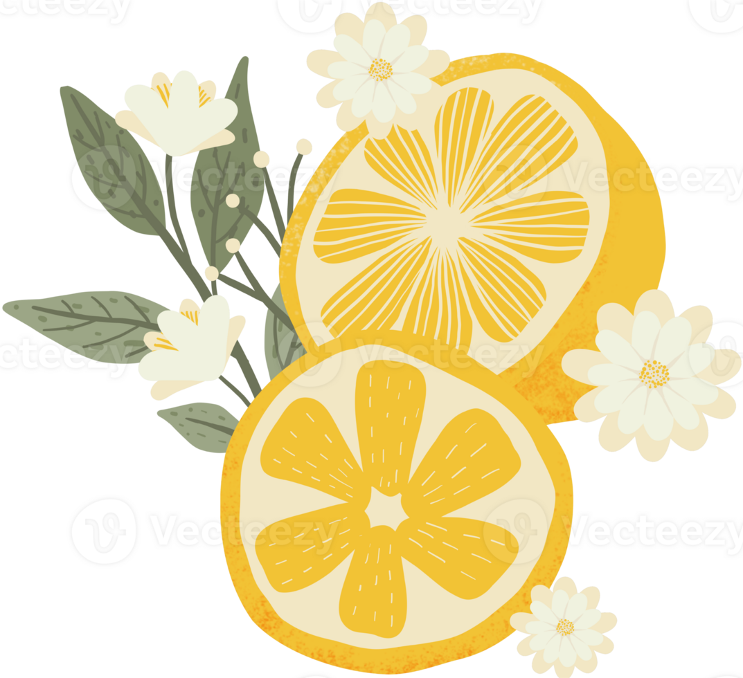 yellow lemon with green leaf elements png