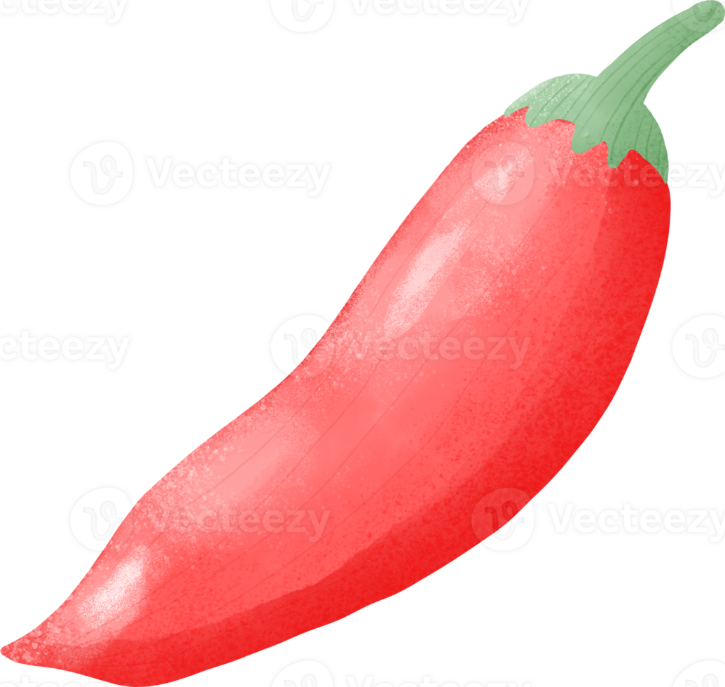 chili pepper elements png