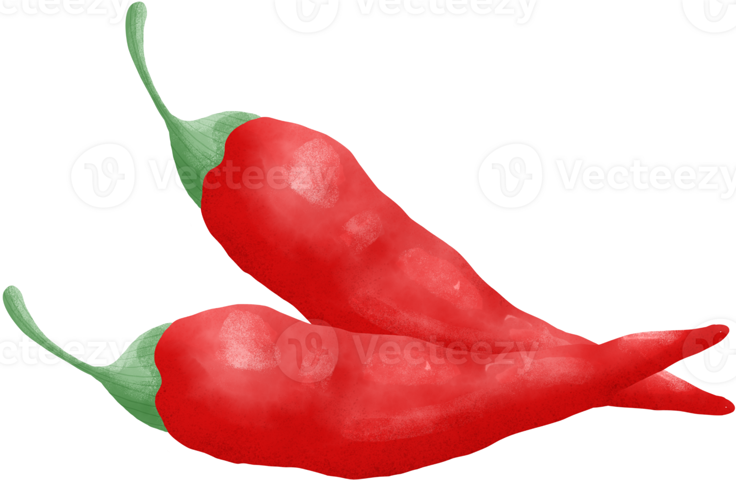 chili pepper elements png