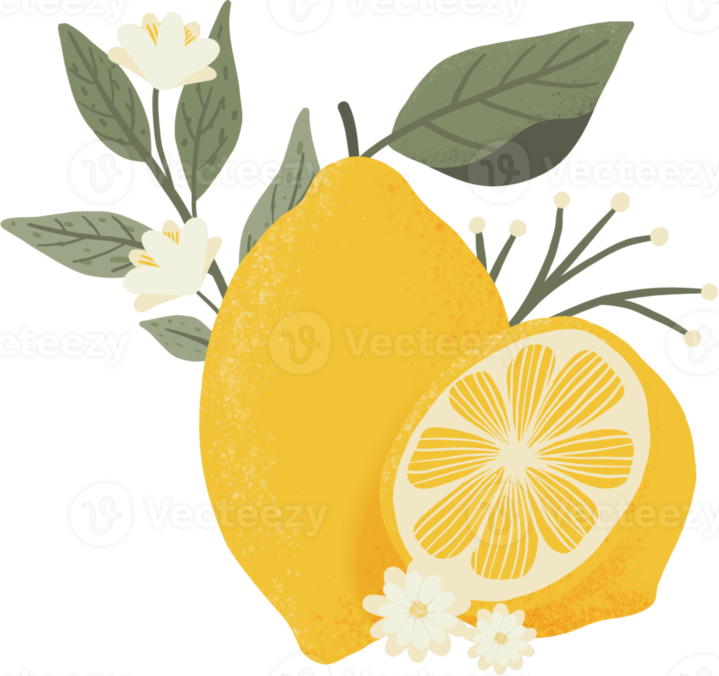 yellow lemon with green leaf elements png