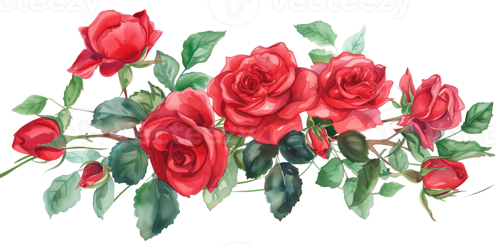 Red roses bouquet. Isolated watercolor illustration. on a transparent background png