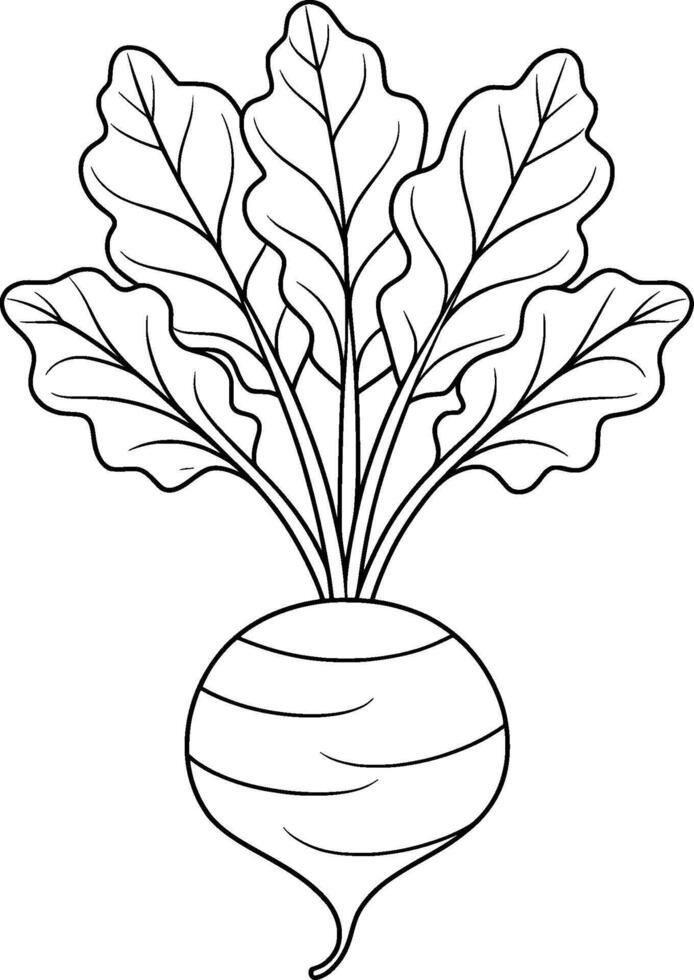 Coloring Page for Kids - Radish - Black and White Line Art vector