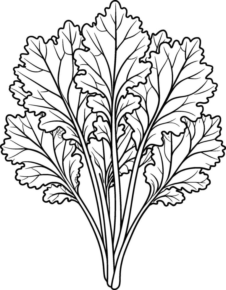 Coloring Page for Kids - Mustard Greens - Black and White Line Art vector