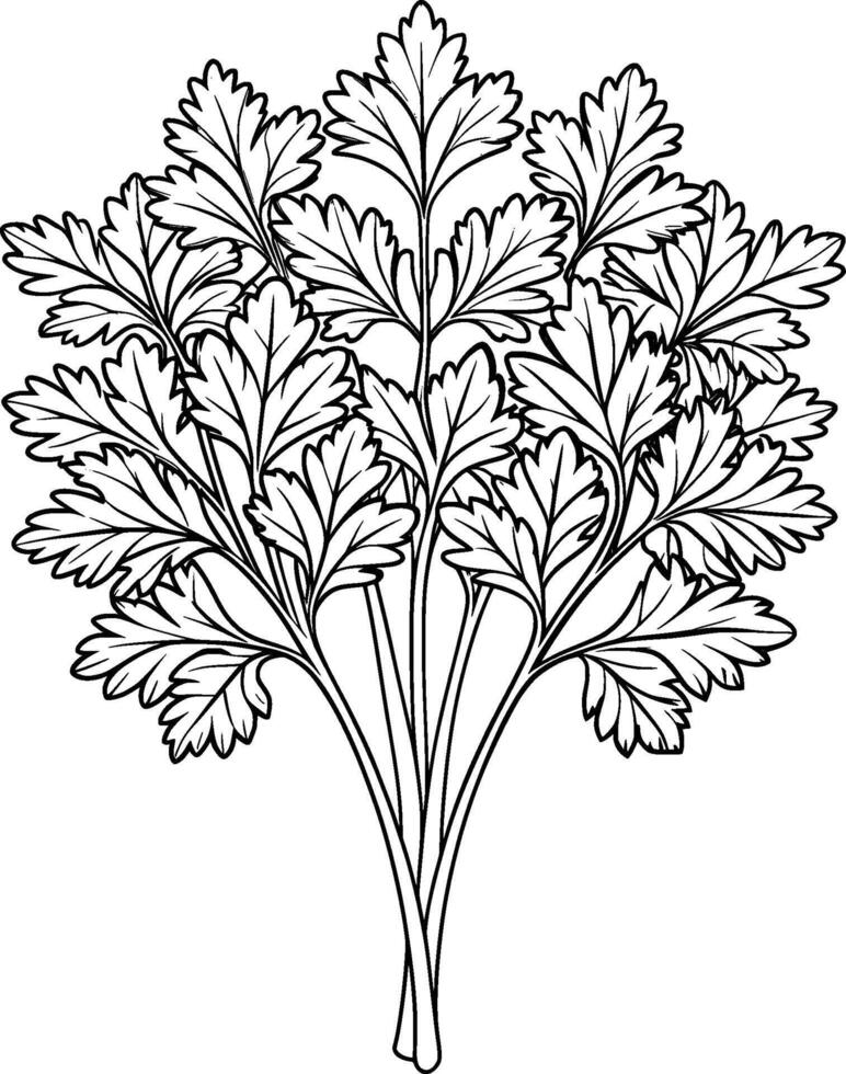Coloring Page for Kids - Parsley - Black and White Line Art vector